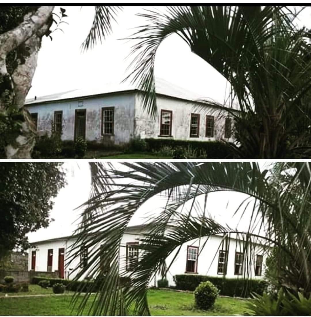 Paisagem real da Fazenda Floresta com natureza preservada